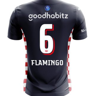 PSV Eindhoven Away Flamingo 6 Jersey 25-26