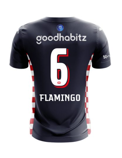 PSV Eindhoven Away Flamingo 6 Jersey 25-26