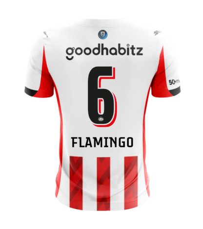 PSV Eindhoven Home FLAMINGO 6 Jersey 25-26