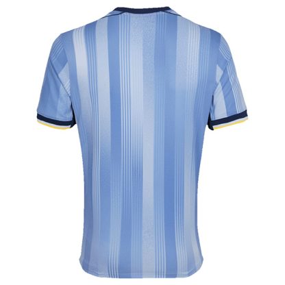 Tottenham Hotspur Away Jersey 24-25 (Player Version)