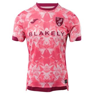 Norwich City Third Jersey 25-26